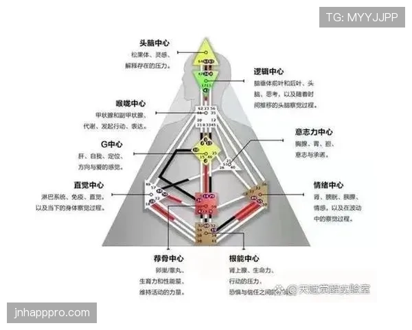 杜埃与谢尔基：新生代技术型中场的核心能力差异与风格构建逻辑